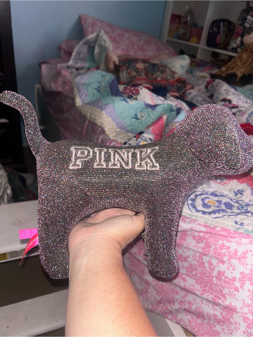 Vs pink large mini dog